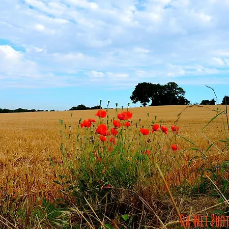 Dans Les Alpes Mancelles