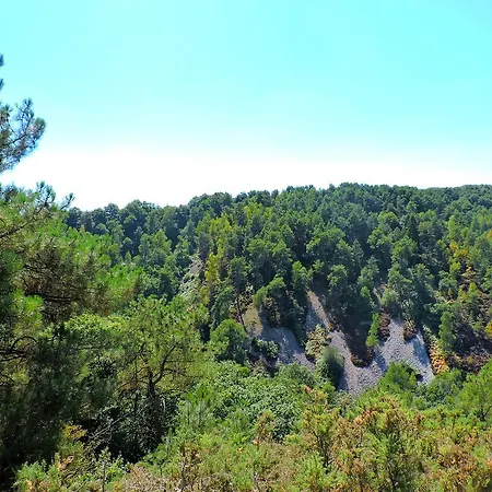 게스트하우스 Dans Les Alpes Mancelles Gesnes-le-Gandelin