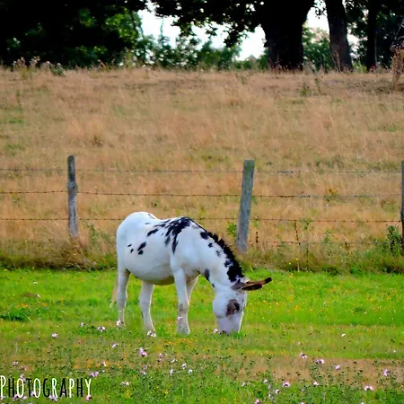 Dans Les Alpes Mancelles Gesnes-le-Gandelin